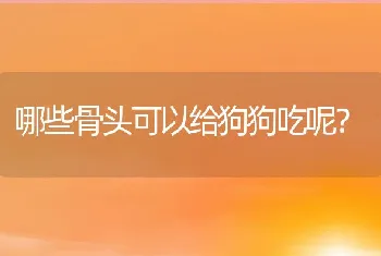 哪些骨头可以给狗狗吃呢？