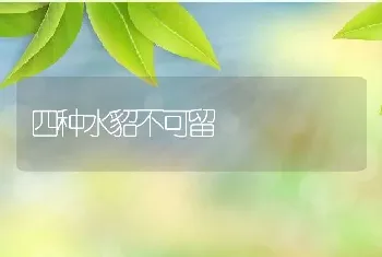 四种水貂不可留