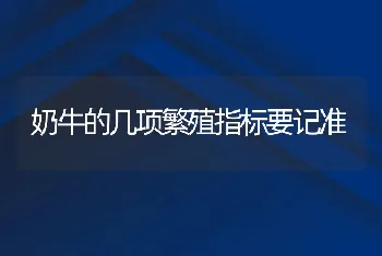 奶牛的几项繁殖指标要记准