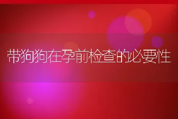 带狗狗在孕前检查的必要性