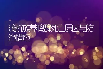 浅析放养鸭群死亡原因与防治措施