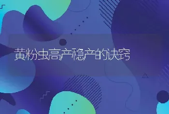 黄粉虫高产稳产的诀窍