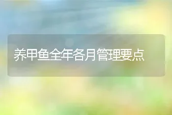 养甲鱼全年各月管理要点