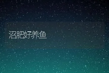 沼肥好养鱼