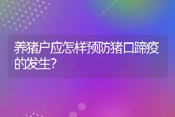 养猪户应怎样预防猪口蹄疫的发生？