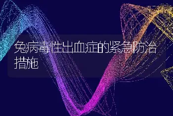 兔病毒性出血症的紧急防治措施