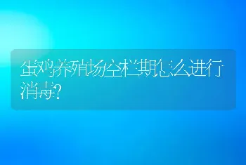 蛋鸡养殖场空栏期怎么进行消毒？