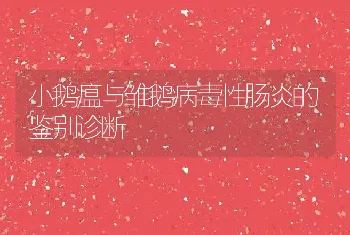 小鹅瘟与雏鹅病毒性肠炎的鉴别诊断