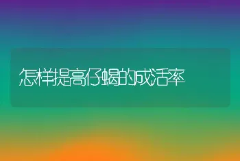 怎样提高仔蝎的成活率