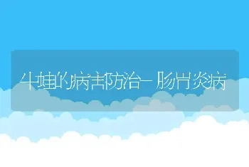 克氏原螯虾稻田立体生态健康养殖技术