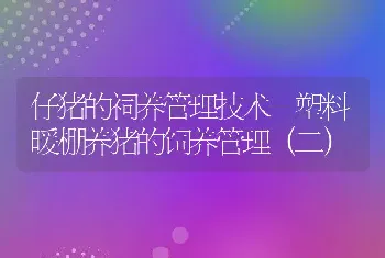 仔猪的祠养管理技术-塑料暖棚养猪的饲养管理（二）