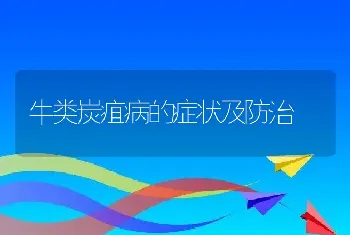 牛类炭疽病的症状及防治