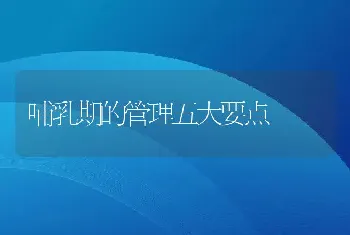 哺乳期的管理五大要点