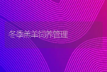 影响牛群繁殖率的因素及改进措施