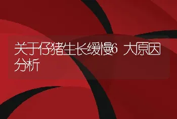 关于仔猪生长缓慢6大原因分析