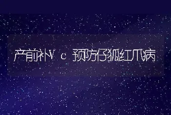 产前补Vc预防仔狐红爪病