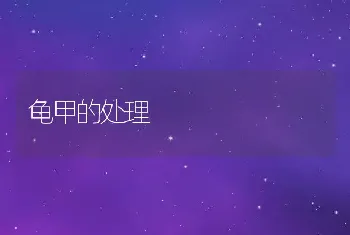 龟甲的处理