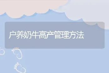 户养奶牛高产管理方法