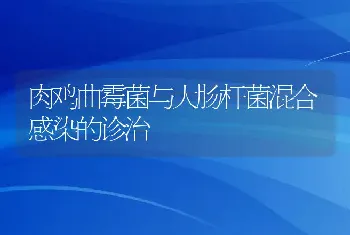 鸭疫里默氏病的诊治