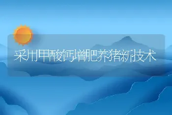 青虾繁育的水质管理