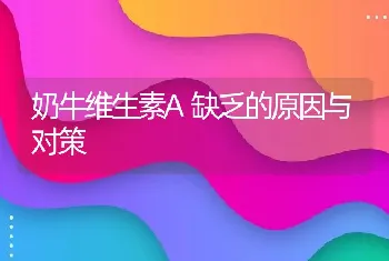 奶牛维生素A缺乏的原因与对策