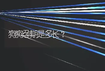 狗狗孕期是多长？