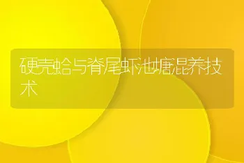 硬壳蛤与脊尾虾池塘混养技术