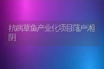 抗病草鱼产业化项目落户湘阴