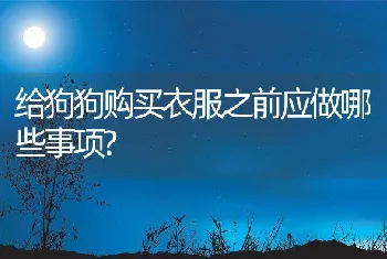 给狗狗购买衣服之前应做哪些事项?