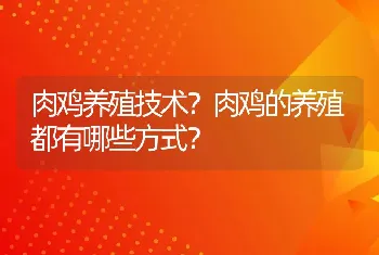 肉鸡养殖技术？肉鸡的养殖都有哪些方式？