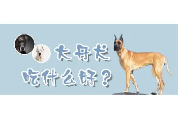 大丹犬吃什么好