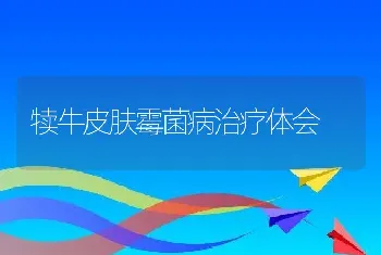 犊牛皮肤霉菌病治疗体会