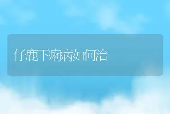 仔鹿下痢病如何治