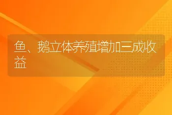 鱼、鹅立体养殖增加三成收益