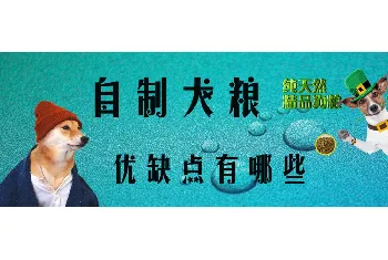 自制犬粮优缺点有哪些