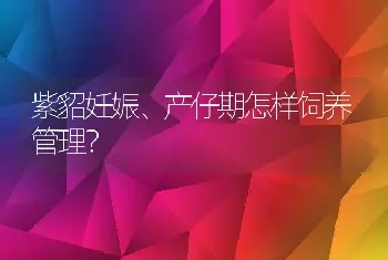 紫貂妊娠、产仔期怎样饲养管理？