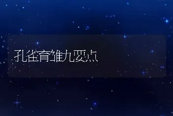 孔雀育雏九要点