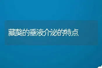 藏獒的垂液介泌的特点