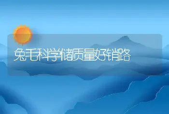 兔毛科学储质量好销路