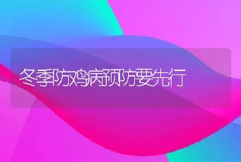 农村养殖场（户）怎样养好种公牛