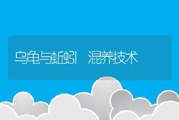 乌龟与蚯蚓 混养技术