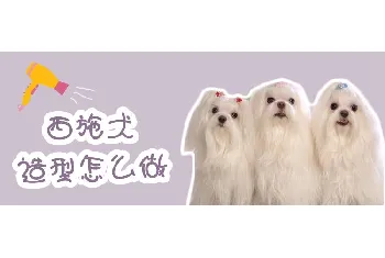 西施犬造型怎么做