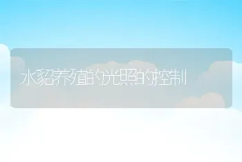 仔蝎养殖技术要点