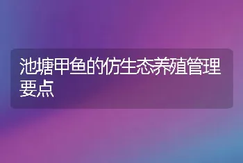 池塘甲鱼的仿生态养殖管理要点