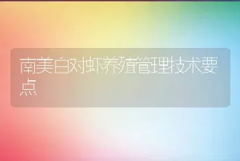 南美白对虾养殖管理技术要点