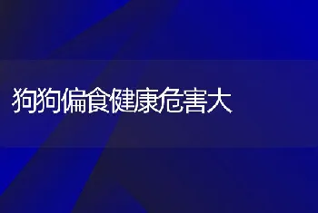 狗狗偏食健康危害大