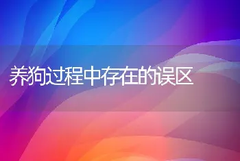 养狗过程中存在的误区