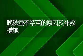 晚秋蚕不结茧的原因及补救措施