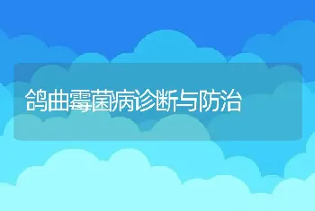 鸽曲霉菌病诊断与防治