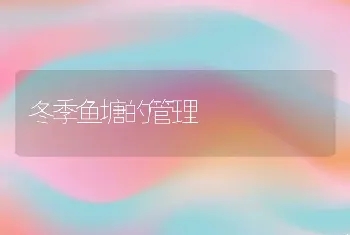 冬季鱼塘的管理